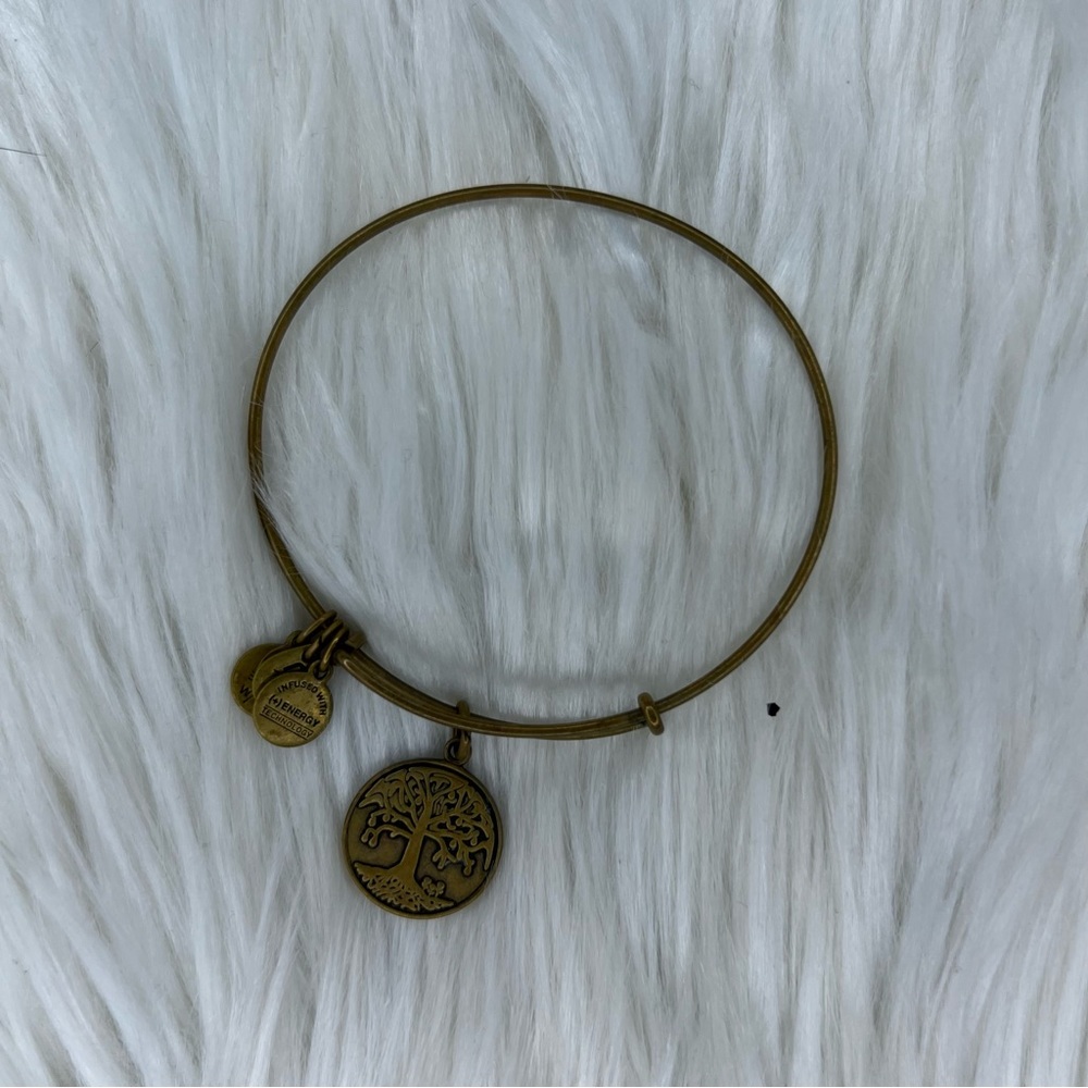 Alex And Ani Tree Of Life Rafaelian Gold Charm Bangle